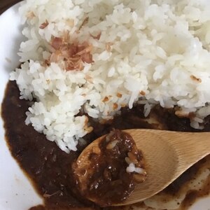 日向夏のキーマカレー